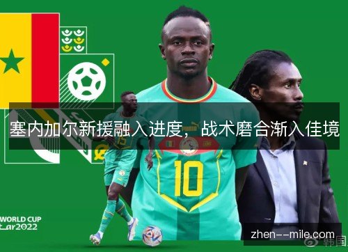 塞内加尔新援融入进度，战术磨合渐入佳境